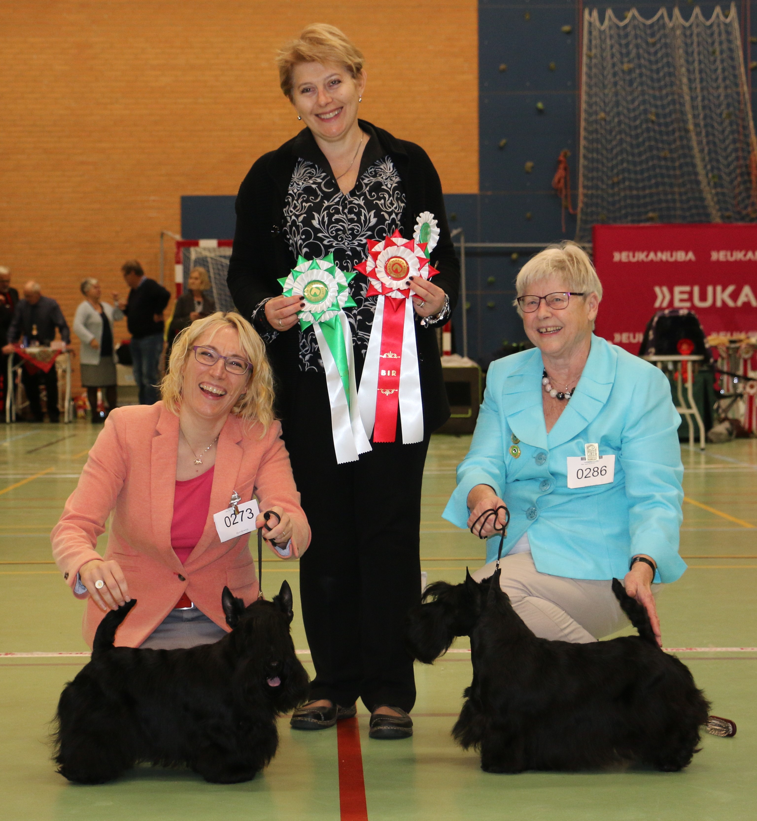 Billund BIR og BIM 261117