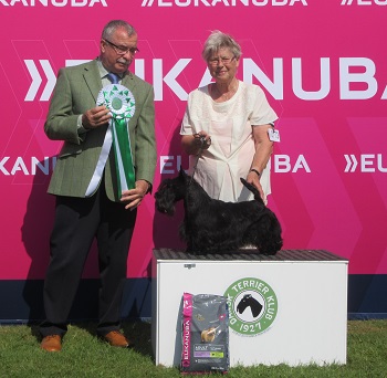 Haarlev 280516 BIS junior 4. Judge Frank Kane hjemmesiden