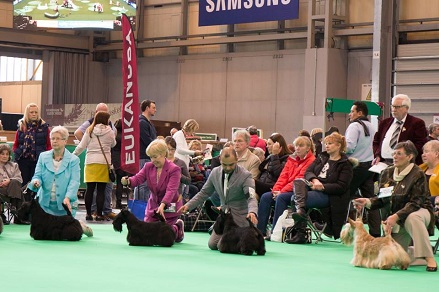 crufts part of the Open class 