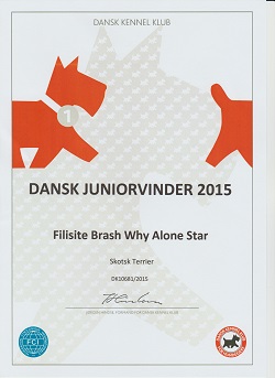 hjemmesiden DK Junior Winnr 2015 Fiilisite Brash Why Alone Star 001 Kopi