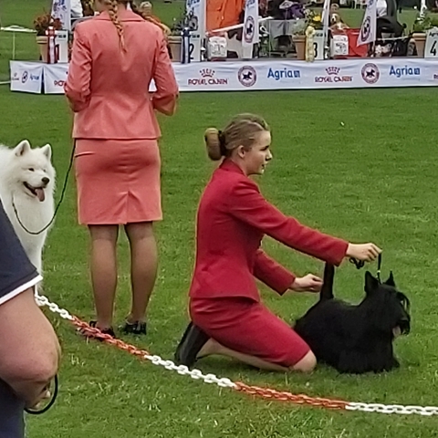 Ida og Charlie i ringen 1