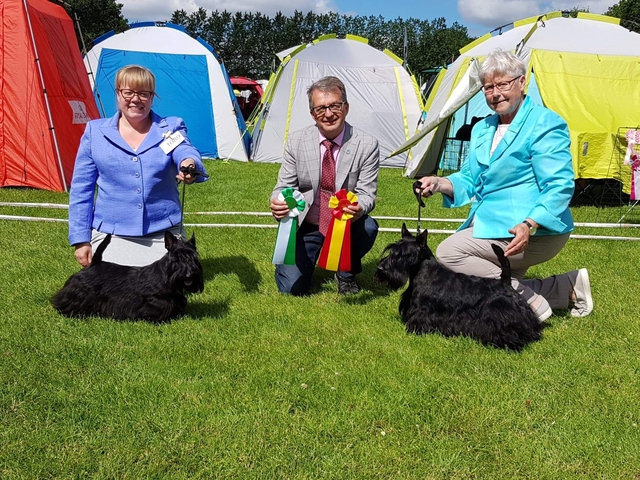 Vejen 220619 BIR Marland Ultimate