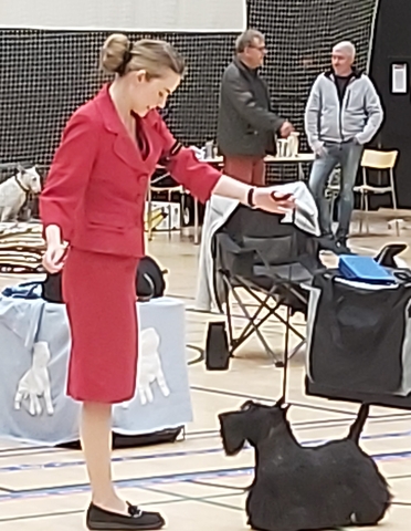birkerød hjemmesiden Ida og Charlie