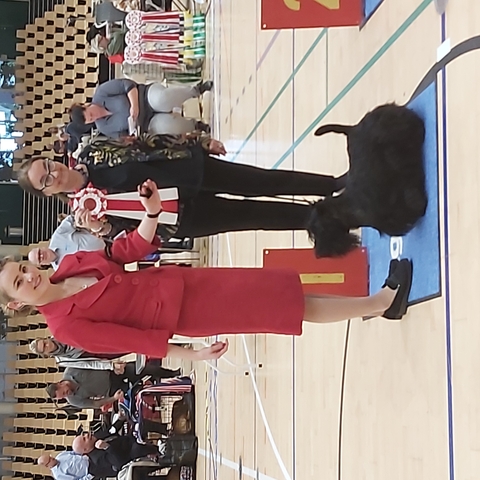 winning the juniorhandlercompetition