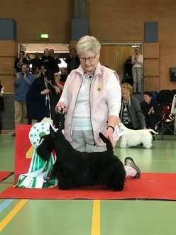 Billund 070418 BIS 4 Zumo