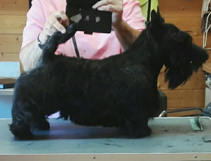 Charlie 270618 2