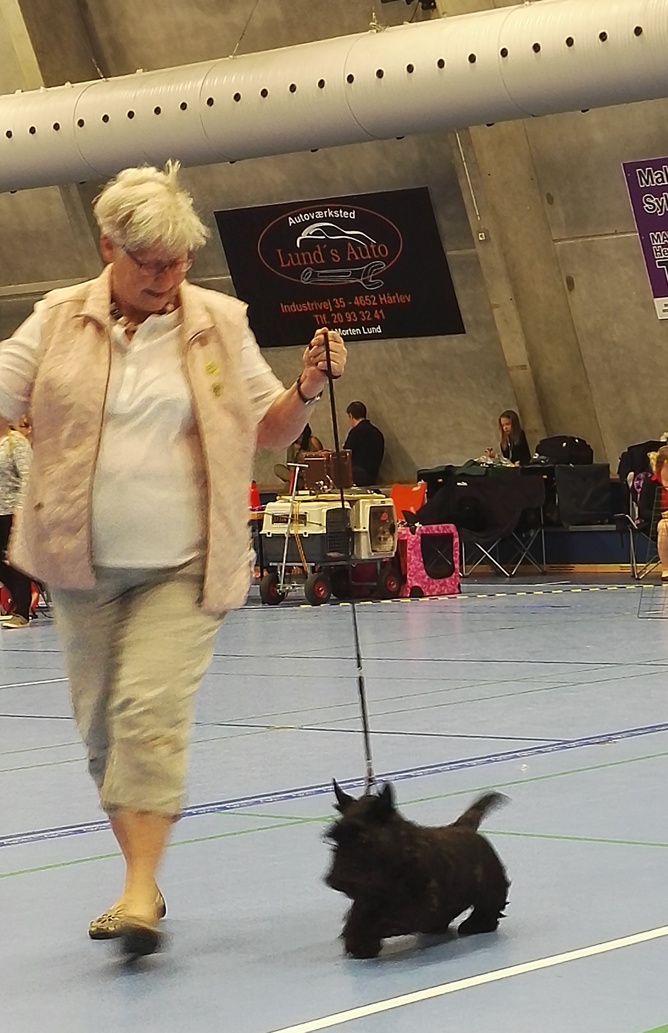 charlie rundt i ringen
