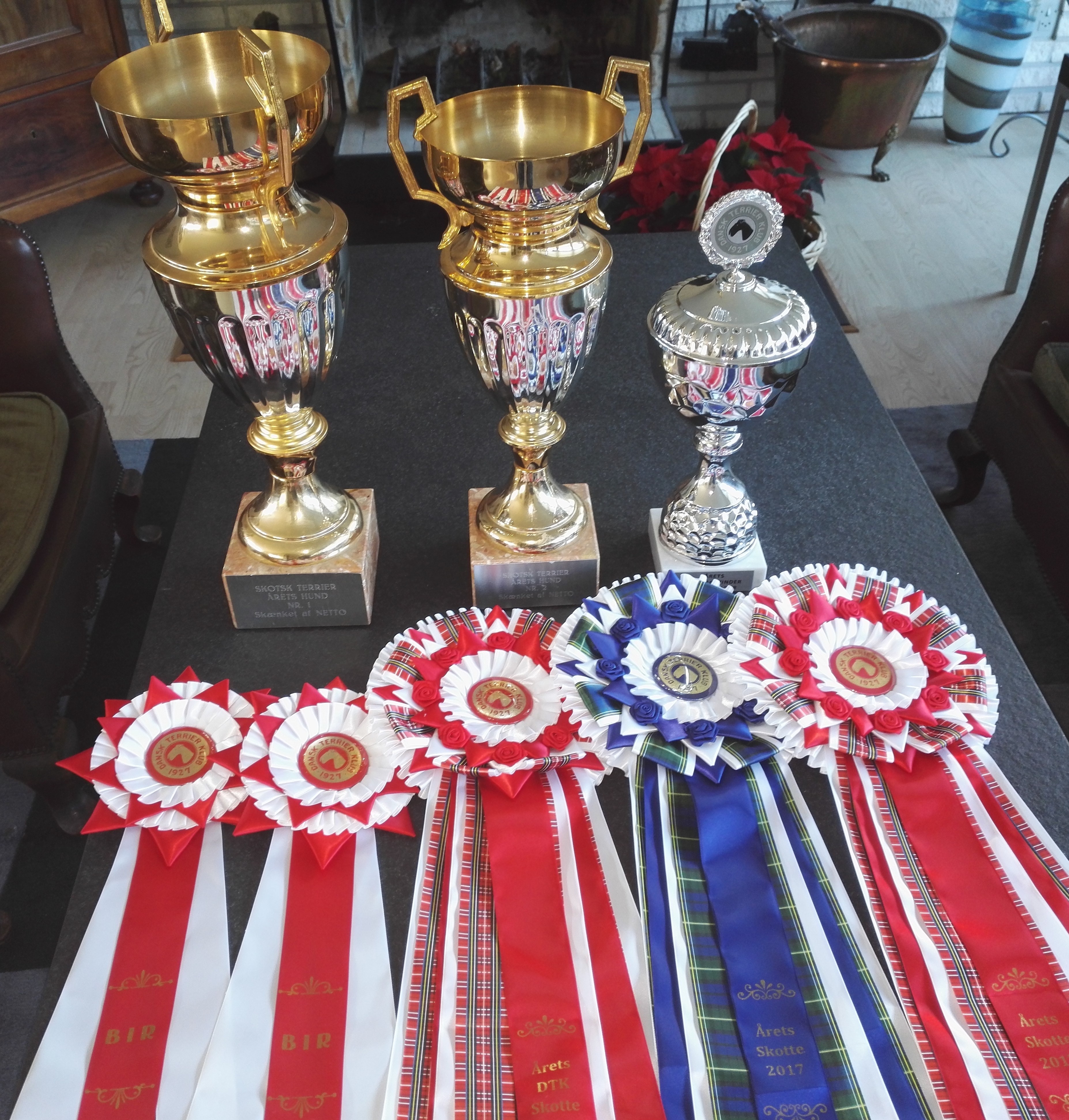 Årets skotte og Årets DTK racevinder 2017