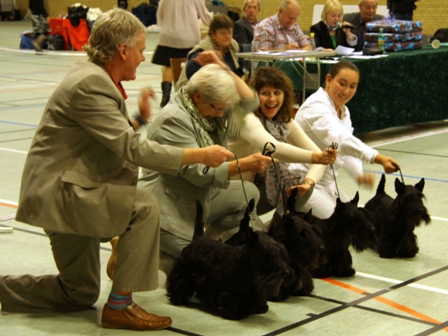Nicla Skotsk Terrier