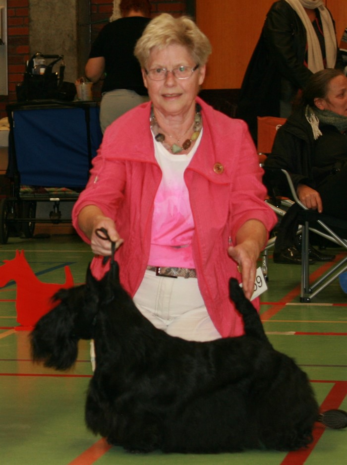 Nicla Skotsk Terrier